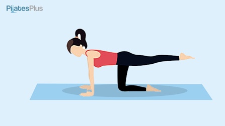 pilatesplus-pilates-for-back-pain-hip-extensions